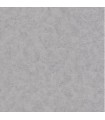 PP INT EXP UNI GRIS