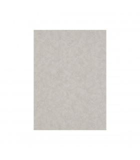 PP INT EXP UNI TAUPE