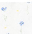PP EXP FLEURS BLEU JAUNE