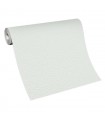 PP EXP CREPI MOYEN BLANC