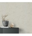 PP EXP CREPI FIN BEIGE