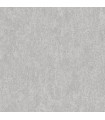 PP INT EXP GRATTE GRIS CLAIR