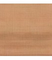 PANO MONT VINYLEINTISSEATACAMA