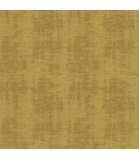 CASAMANCE JOHARA OLIVE