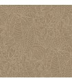 CASAMANCE LATTE