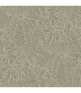 CASAMANCE EUCALYPTUS