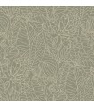 CASAMANCE EUCALYPTUS