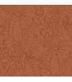 CASAMANCE ORANGE BRÛLÉ
