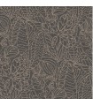 CASAMANCE ANTHRACITE