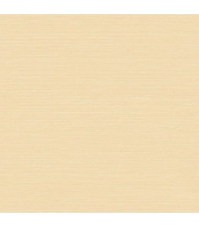 CASAMANCE COQUILLE