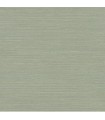CASAMANCE EUCALYPTUS