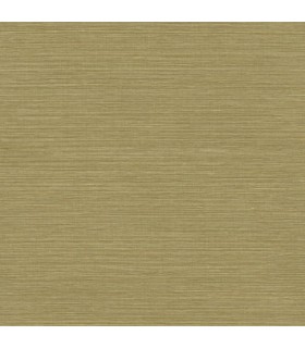 CASAMANCE CACTUS