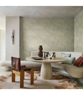 CASAMANCE EUCALYPTUS