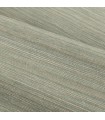 CASAMANCE EUCALYPTUS