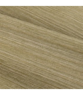 CASAMANCE CACTUS