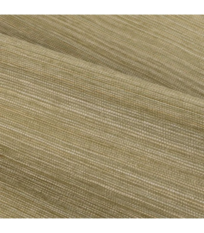 CASAMANCE CACTUS