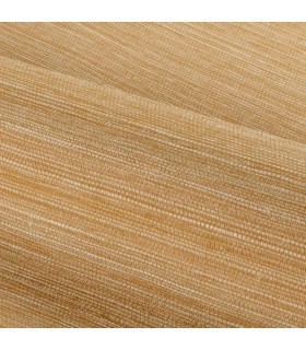 CASAMANCE MIEL
