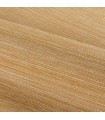 CASAMANCE MIEL
