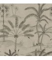 CASAMANCE LIN/NOIR
