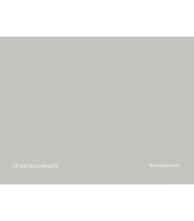 Échantillon de peinture repositionnable Stick'N'Test Krome Evasion 20x15 cm