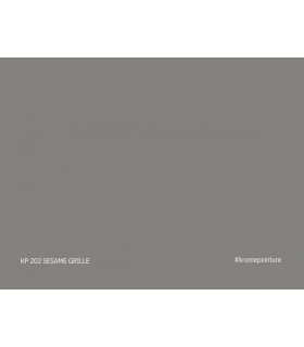 Échantillon de peinture repositionnable Stick'N'Test Krome Evasion 20x15 cm