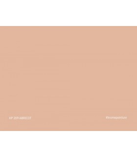 Échantillon de peinture repositionnable Stick'N'Test Krome Evasion 20x15 cm