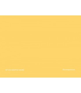 Échantillon de peinture repositionnable Stick'N'Test Krome Evasion 20x15 cm