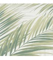 PP INT EXP FEUILLE PALME VERT