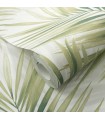 PP INT EXP FEUILLE PALME VERT