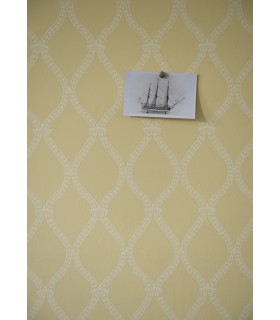 Papier Peint CRIVELLI TRELLIS - REF 31-05 - CORE FARROW&BALL