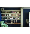 Papier Peint PAISLEY - REF 47-05 - CORE FARROW&BALL