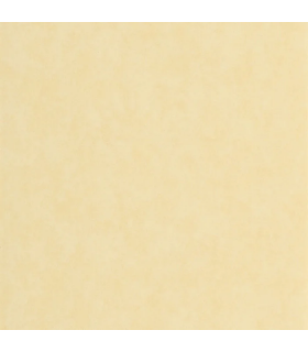 Papier peint VALLAURIS JAUNE CITRONNADE - Collection Échappée Belle - CASADECO - Réf.ECHA89852121