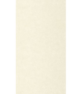 Papier Peint UNI MAT ECRU - Collection AZUR - CASELIO - Réf. AZU105240000