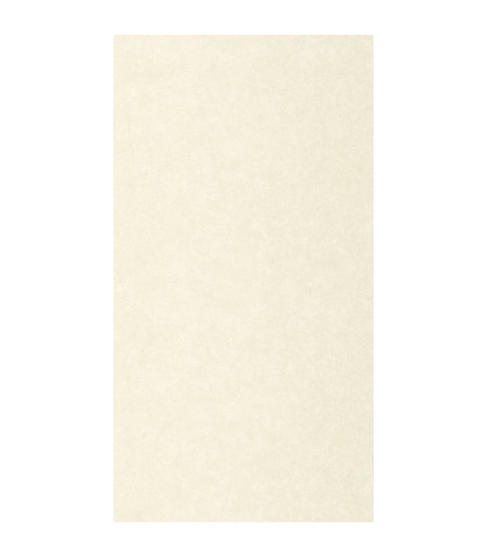 Papier Peint UNI MAT ECRU - Collection AZUR - CASELIO - Réf. AZU105240000