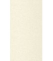 Papier Peint UNI MAT ECRU - Collection AZUR - CASELIO - Réf. AZU105240000