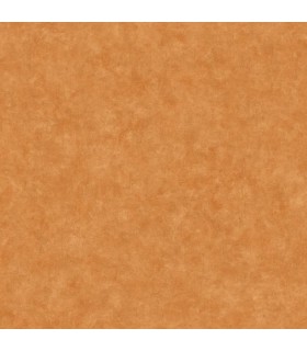 Papier Peint BETON UNI TERRE CUITE - Collection COLOR BOX 3 - CASELIO - Réf. CB3101483312