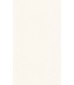 Papier Peint UNI MAT VERT AMANDE CLAIR - Collection COLOR BOX 3 - CASELIO - Réf. CB3103227000