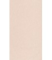 Papier Peint UNI METALLISE/IRISE ROSE POUDRE DORE - Collection COLOR BOX 3 - CASELIO - Réf. CB3103234021