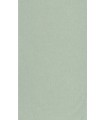 Papier Peint UNI METALLISE/IRISE  VERT AMANDE DORE - Collection COLOR BOX 3 - CASELIO - Réf. CB3103237000