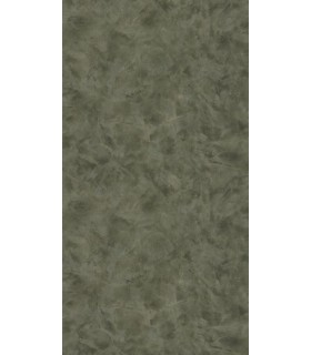 Papier Peint UNI METALLISE / NACRE VERT KAKI DORE - Collection COLOR BOX 3 - CASELIO - Réf. CB3103687742