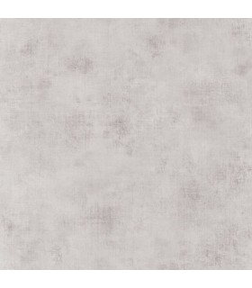 Papier Peint UNI METALLISES GRIS CLAIR NACRE - Collection COLOR BOX 3 - CASELIO - Réf. CB3102079009