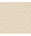 Papier Peint BALLADE BEIGE DORE - Collection COLOR BOX 3 - CASELIO - Réf. CB3102341079
