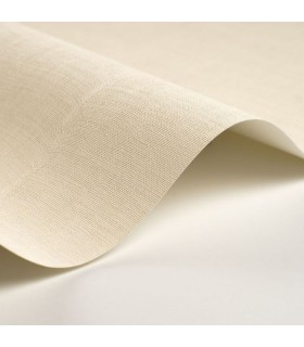 Papier Peint ETAMINE BLANC CREME - CASADECO - Réf. ETAM200250323