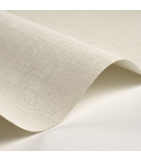 Papier Peint ETAMINE CALCAIRE - CASADECO - Réf. ETAM200250525