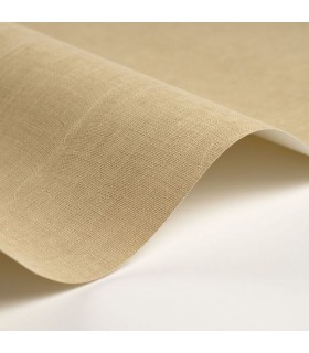 Papier Peint ETAMINE BEIGE CHAMOIS - CASADECO - Réf. ETAM200251616