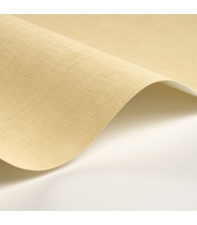 Papier Peint ETAMINE JAUNE LIMONADE - CASADECO - Réf. ETAM200252121