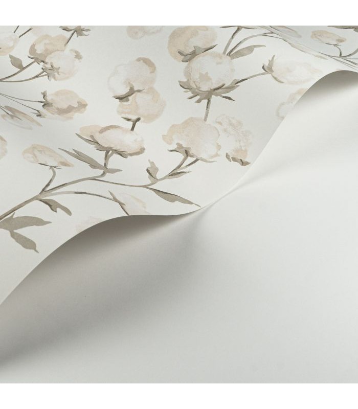 Papier Peint COTTON FLOWER FICELLE - Collection SOLIFLORE - CASADECO - Réf. SOLI200291111