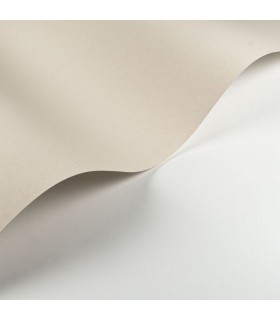 Papier Peint PIGMENTS FICELLE - Collection SOLIFLORE - CASADECO - Réf. SOLI200331101