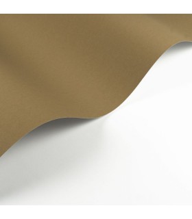 Papier Peint PIGMENTS TABAC - Collection SOLIFLORE - CASADECO - Réf. SOLI200332707