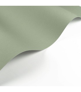 Papier Peint PIGMENTS CELADON - Collection SOLIFLORE - CASADECO - Réf. SOLI200336303